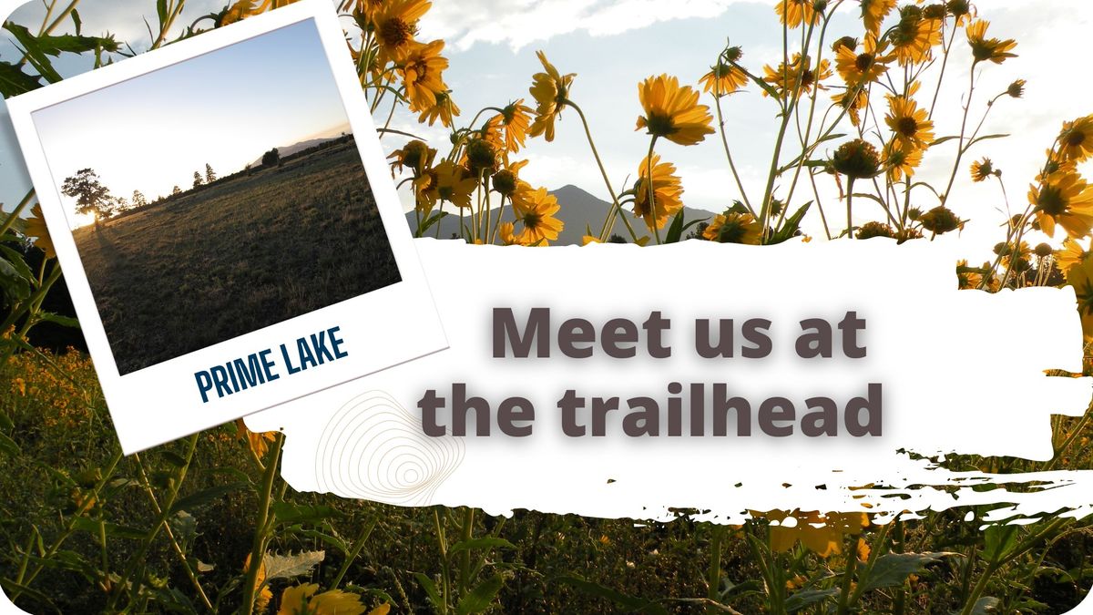 Meet Us at the Trailhead