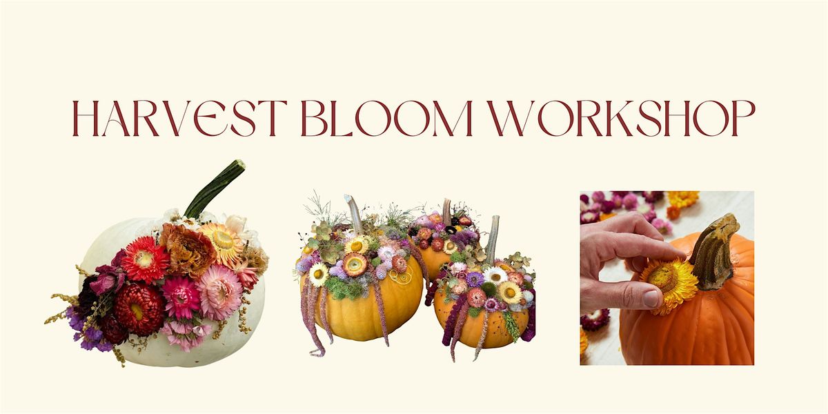Harvest Bloom Workshop