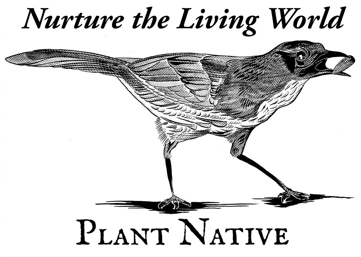 K*ll YOUR LAWN HOUSTON - $20 don