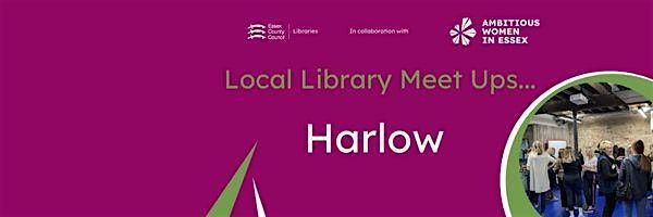 Ambitious Women in Essex - Local Library Meet Up - Harlow - December 2024