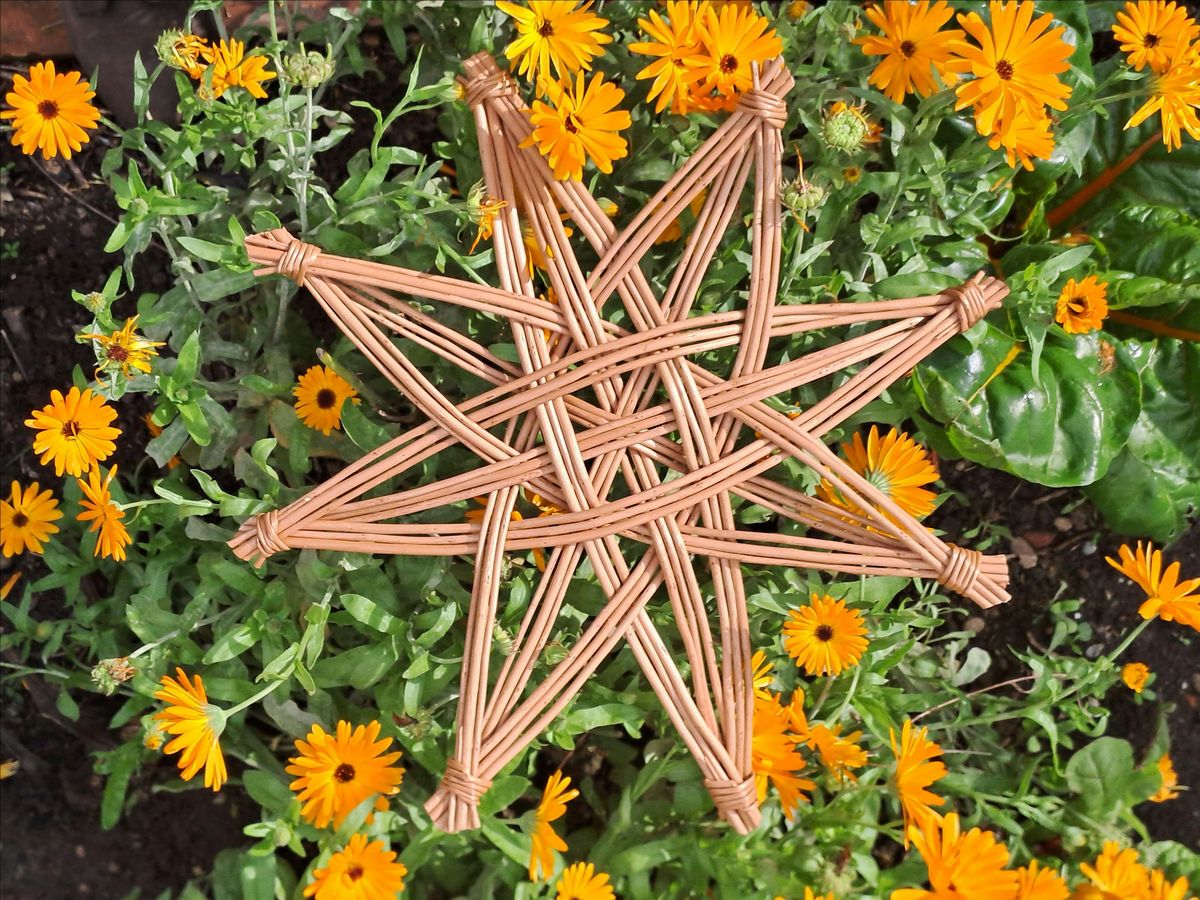 Willow Nordic Star Workshop (28th Nov)