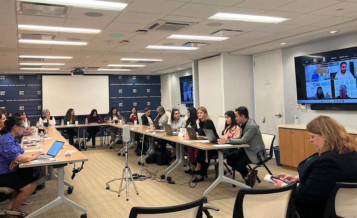 2nd Afghan Women\u2019s Global Business Forum