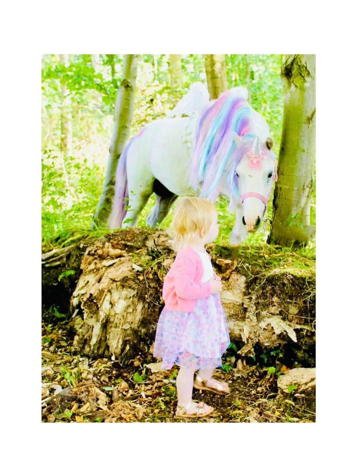 Princess and the unicorn \ud83e\udd84 