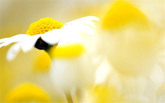 Erschaffe dir eine hellere Welt