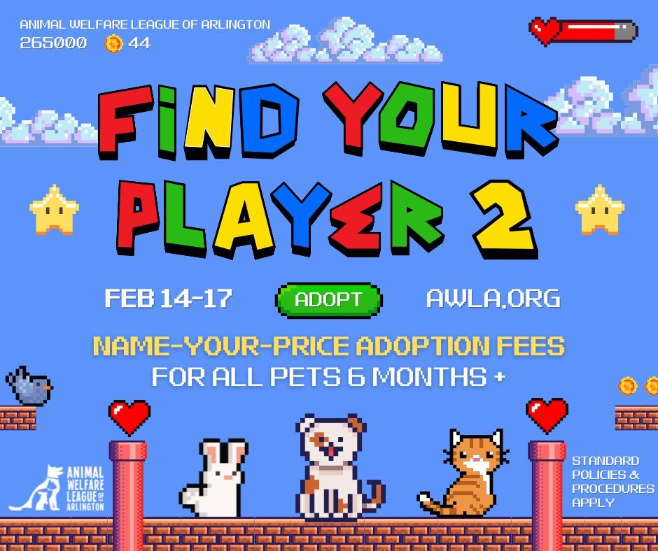 Find Your Player 2 Adoption Event