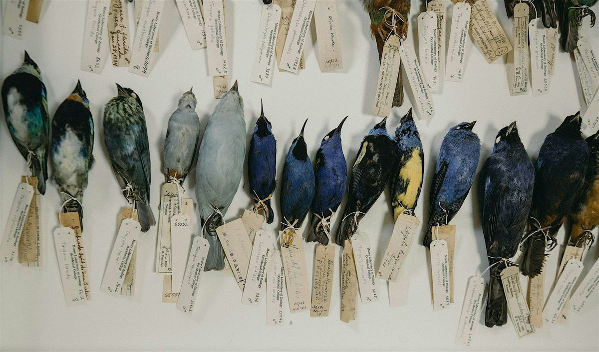 Behind-the-Scenes Tour of Moore Lab of Zoology