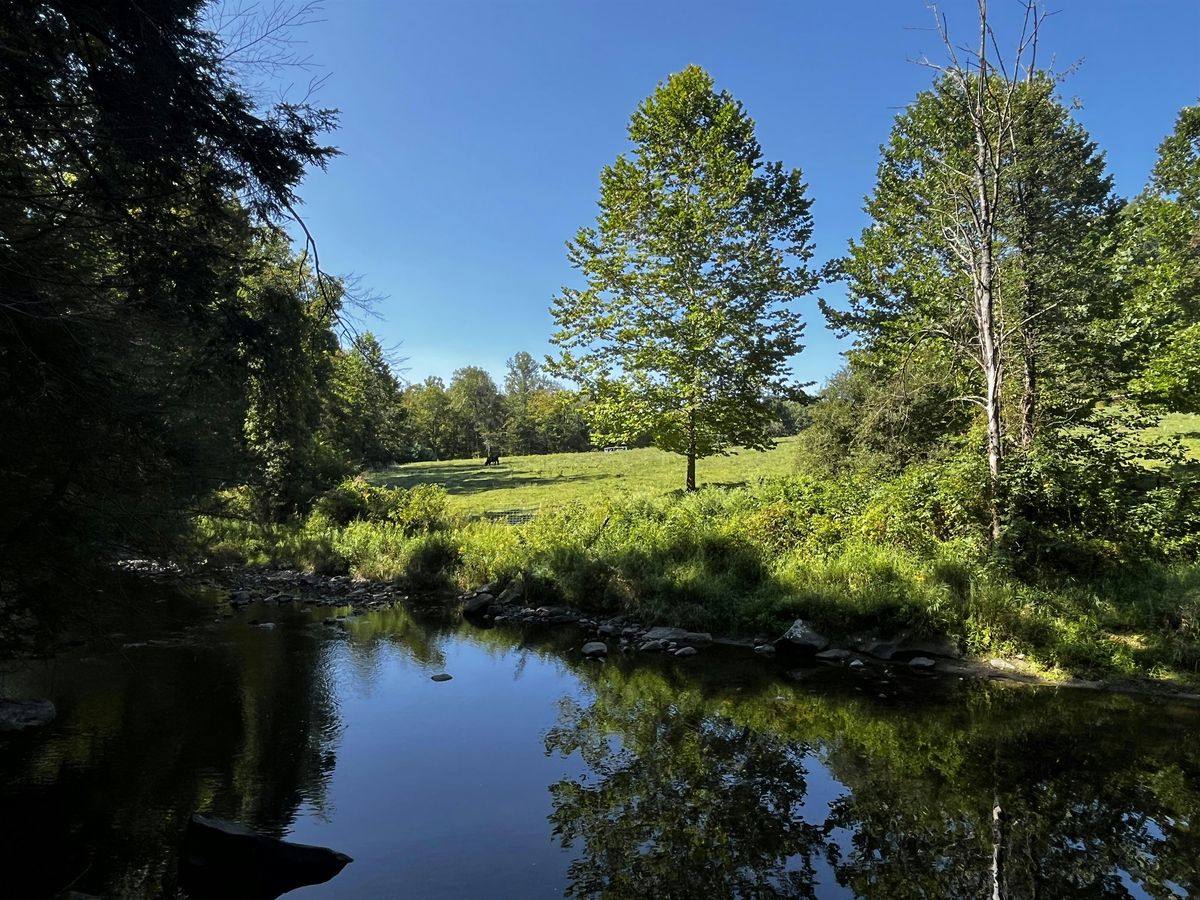 Fall Plein Air Rendezvous at Moonbeams Preserve