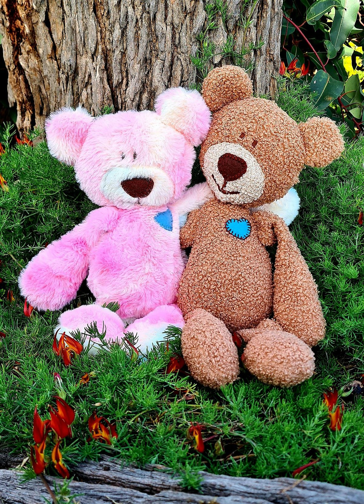 Create a Teddy Bear, a forever keepsake for someone special!