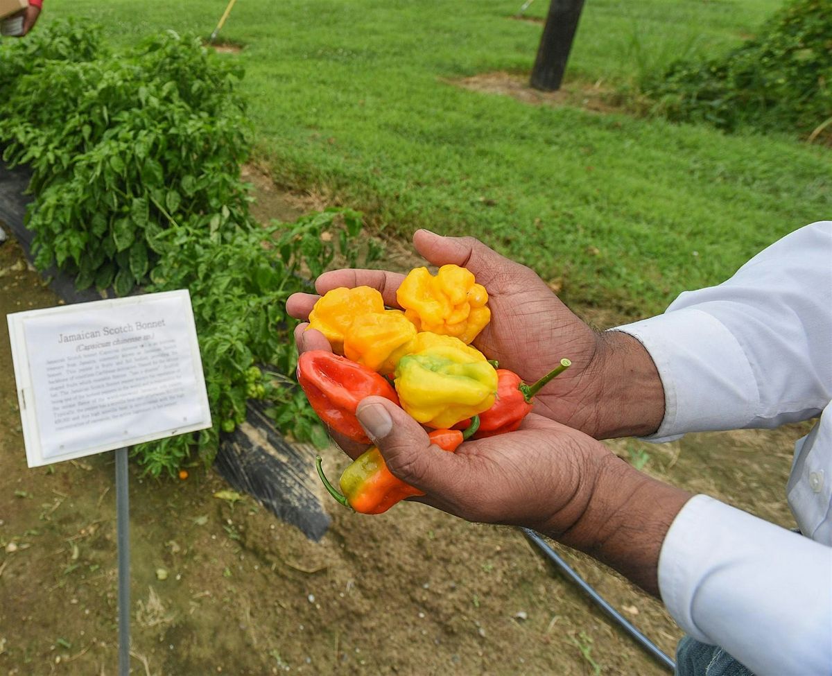 Growing Alternative Crops as Value-Added 2025 Workshop Series