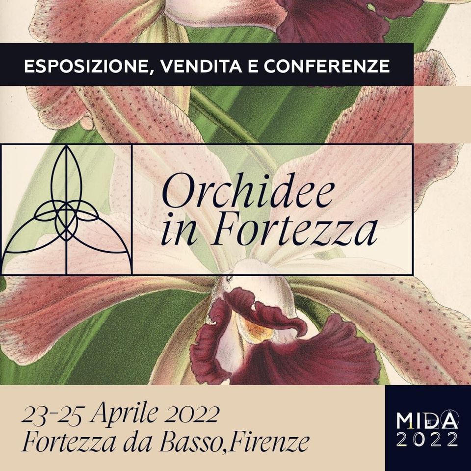 Orchidee in Fortezza