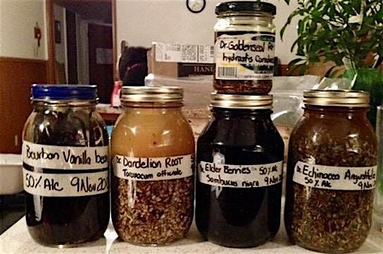 Make it Yourself Herbal Remedies:::: Tinctures
