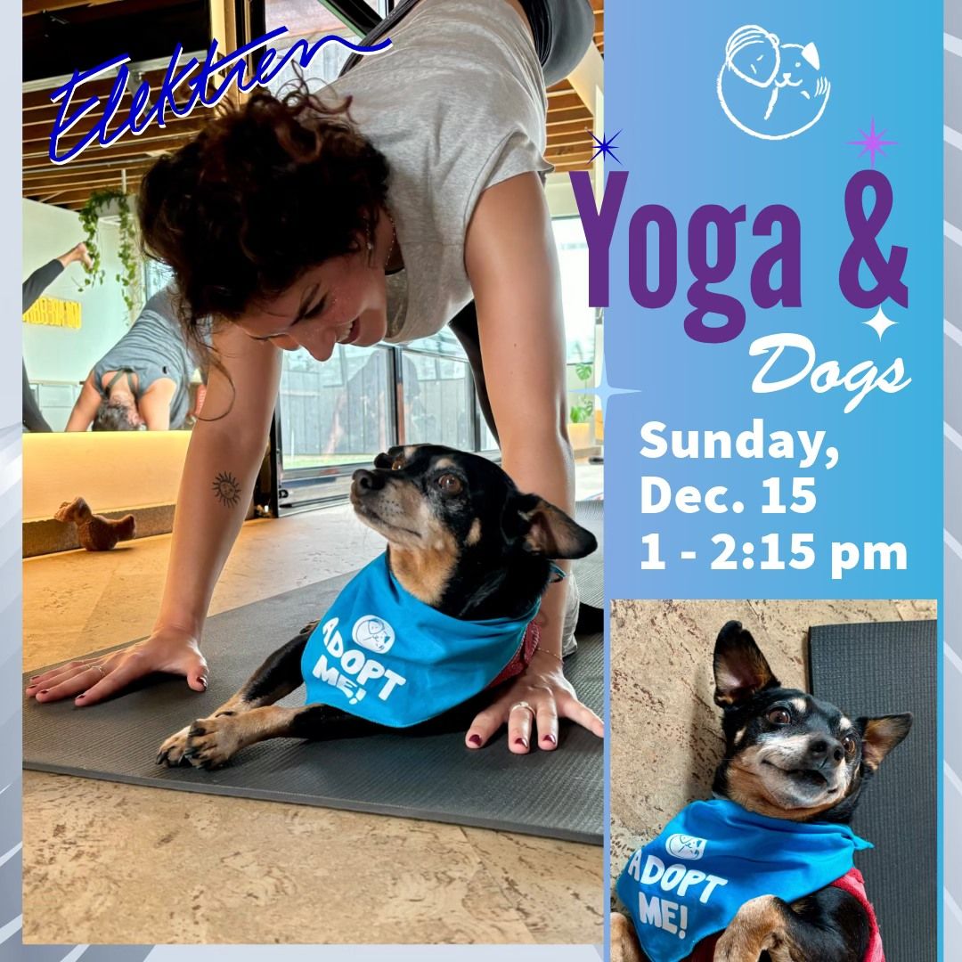 Yoga & Dogs at Elektren