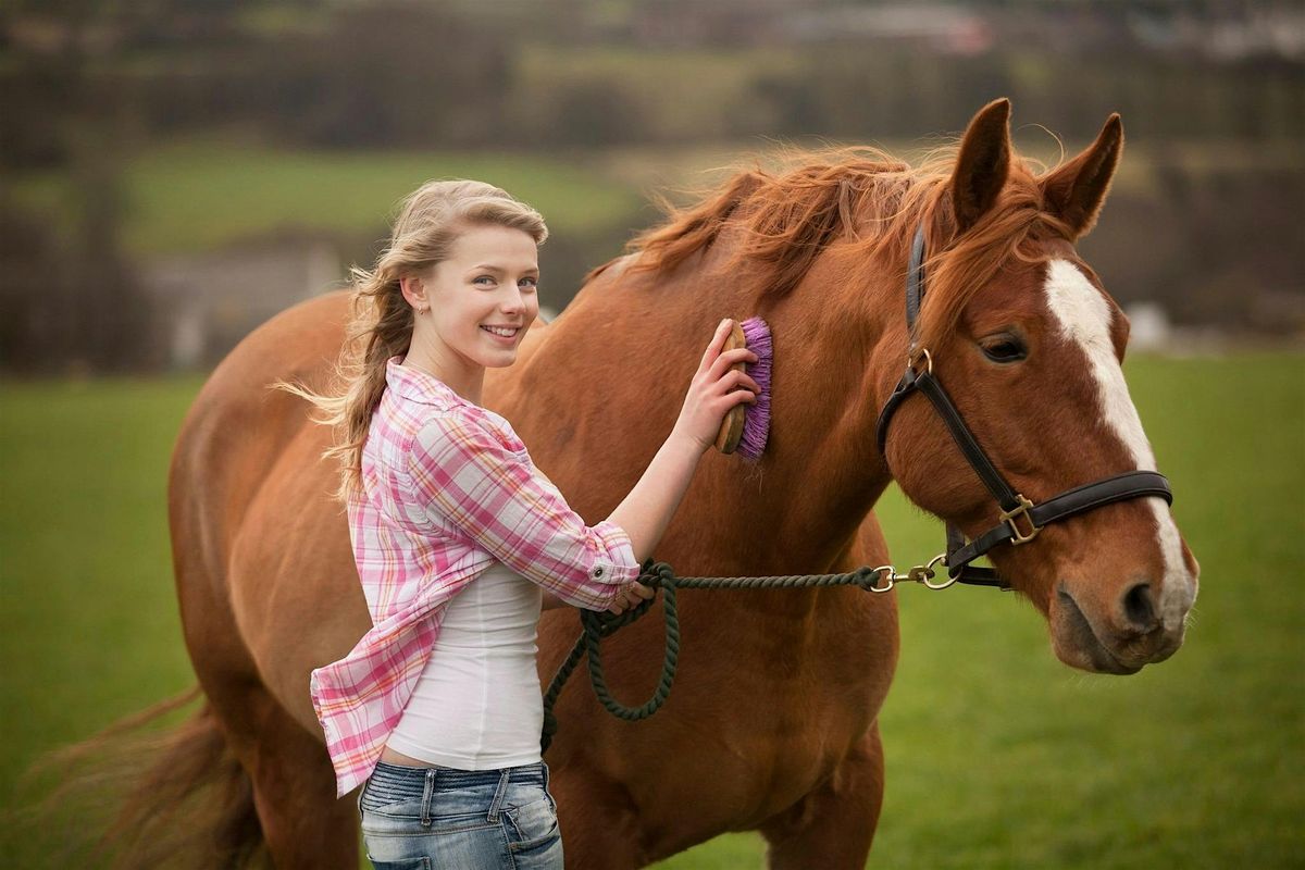 Horse Wisdom: Unlocking Your Potential