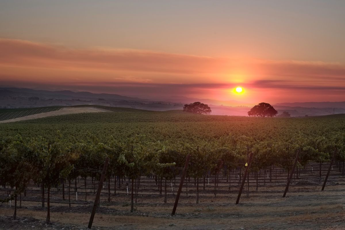 California Dreamin' : Wine Dinner with J.LOHR