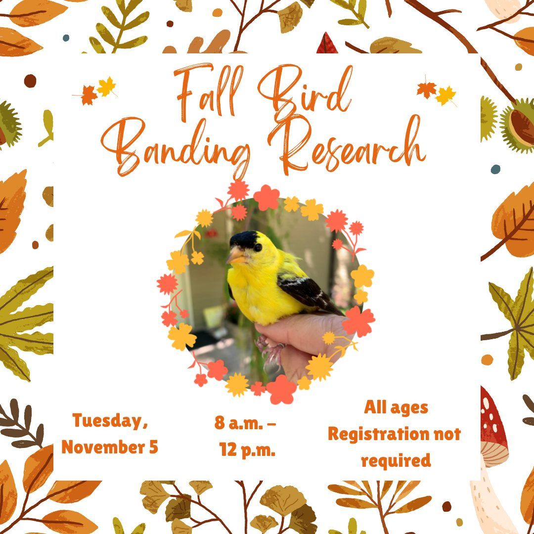 Observe Fall Bird Banding Research