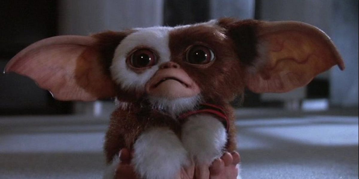 Mogwai