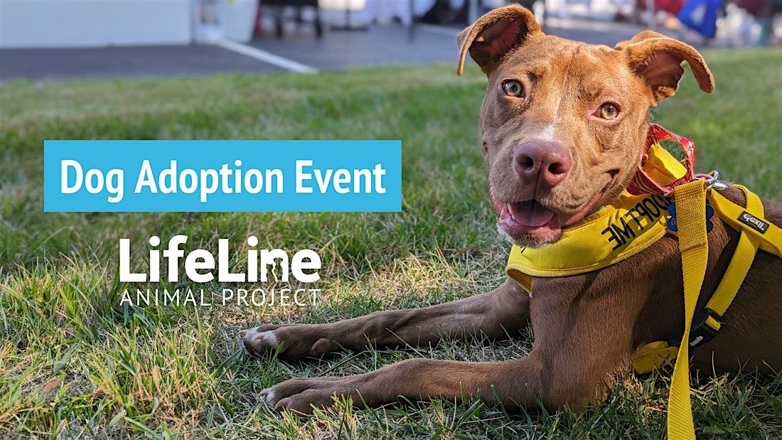 Bark Avenue Dog Adoption Event