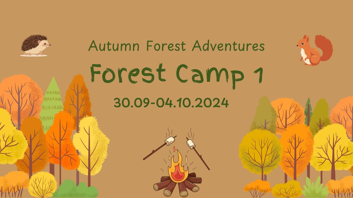 Autumn Forest Camp 1