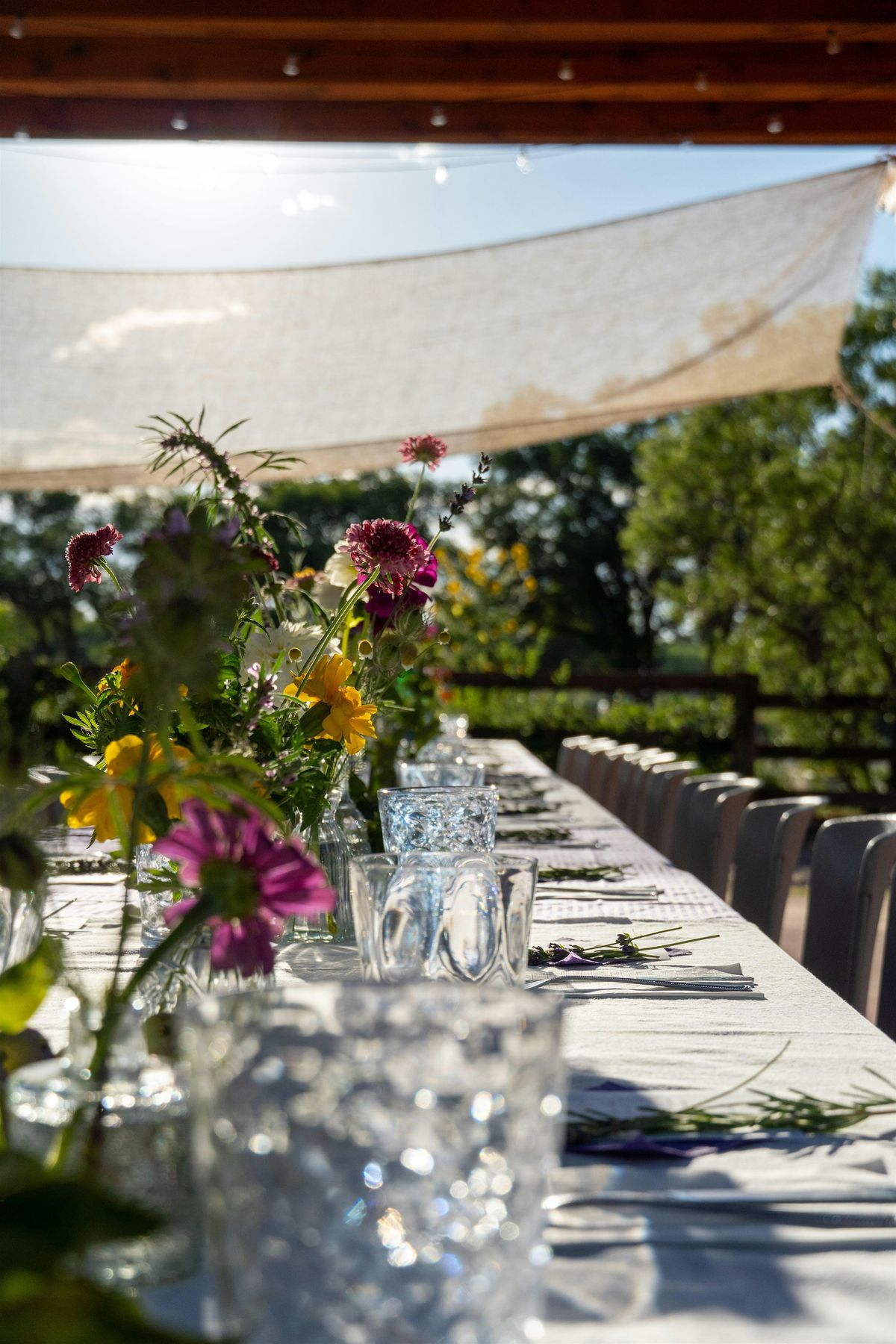 Agri-Nature Center Farm to Table Dinner with Cooking Demonstration