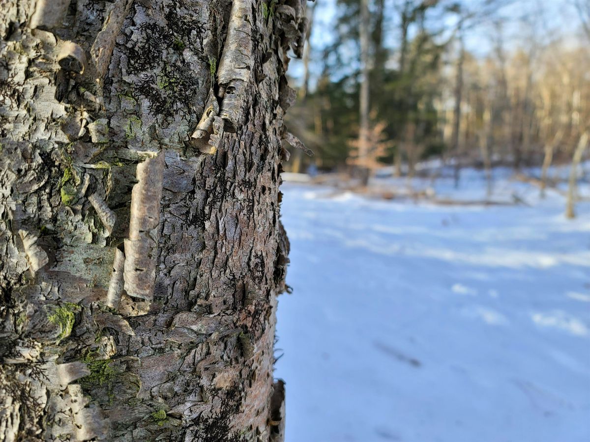 Winter Dendrology Workshop