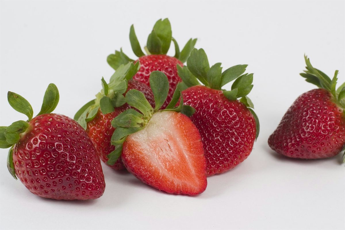 Learn How to Grow Your Own Strawberries--And Take Home Plants!