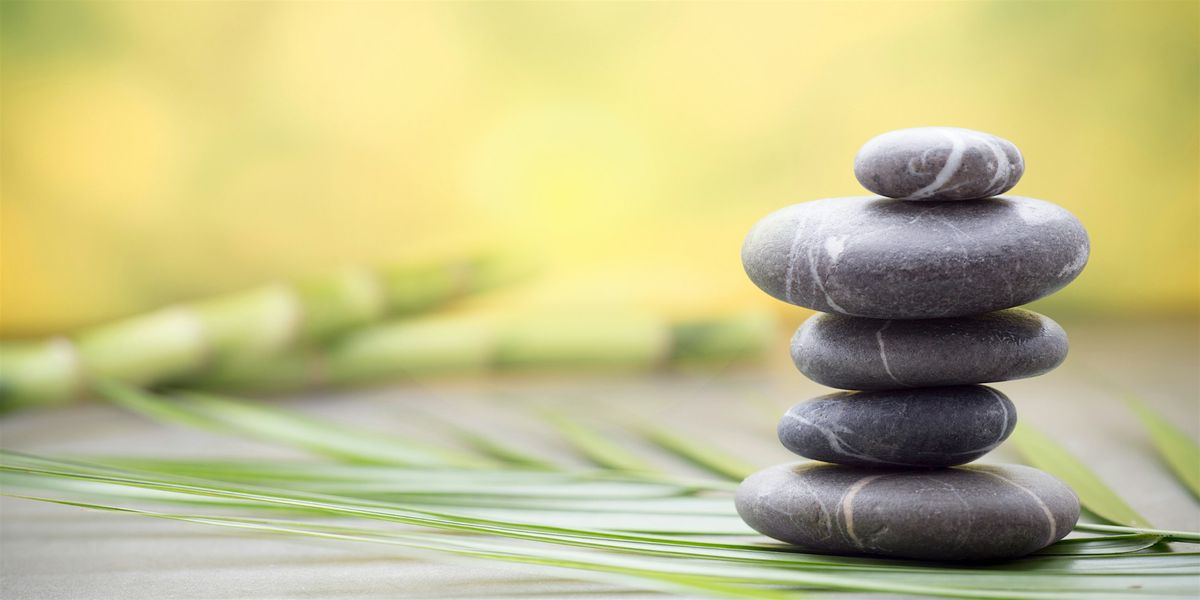 Spiritual Medicine for Modern Stress (Meditation Mini retreat)