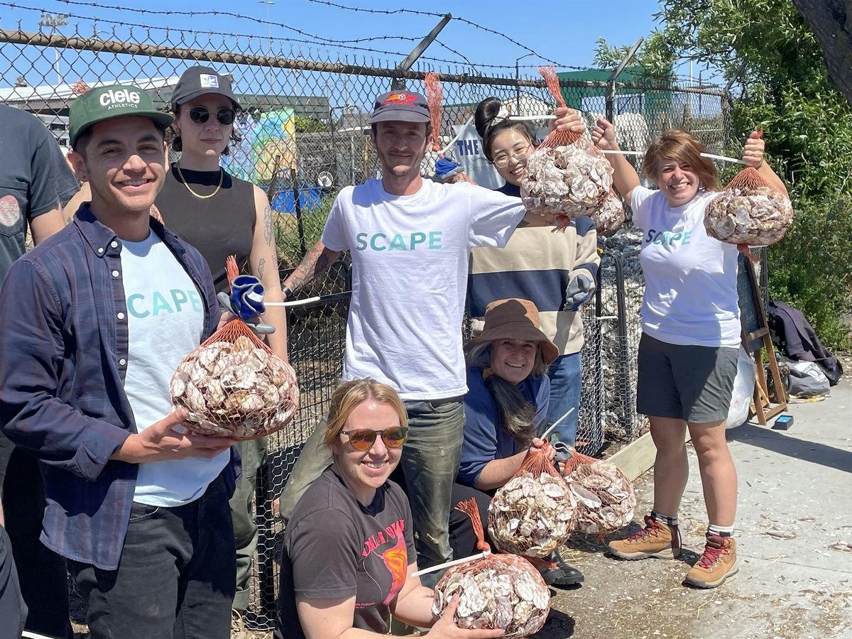 Shell Move & Bagging Day