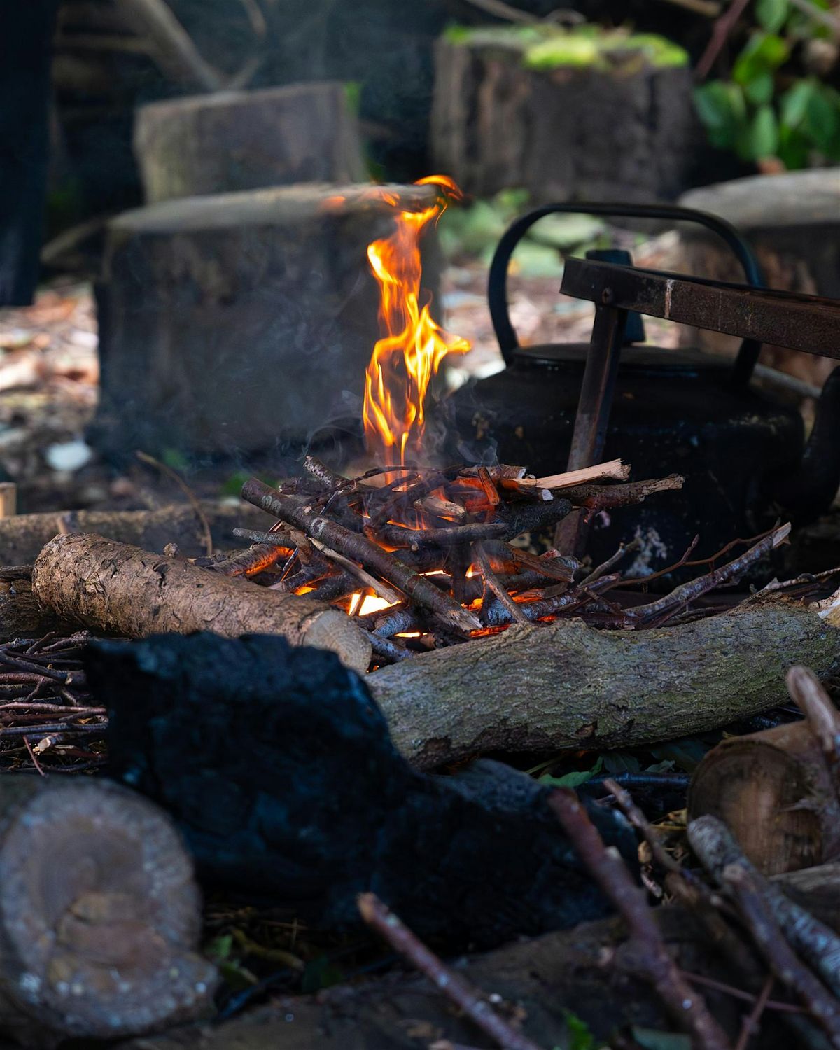 Hwyl yr \u0175yl yn y Goedwig gyda Barod  \/Festive Forest Fun with Barod