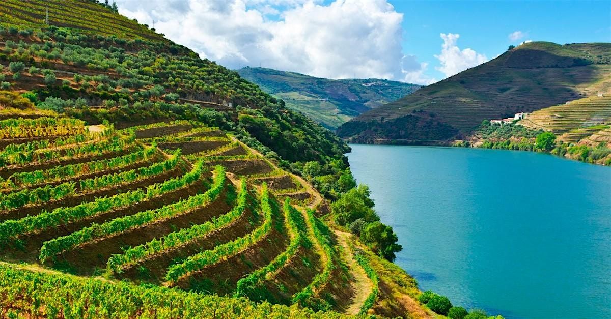 Flavors of the Peninsula \u2013 An Iberian Wine Night