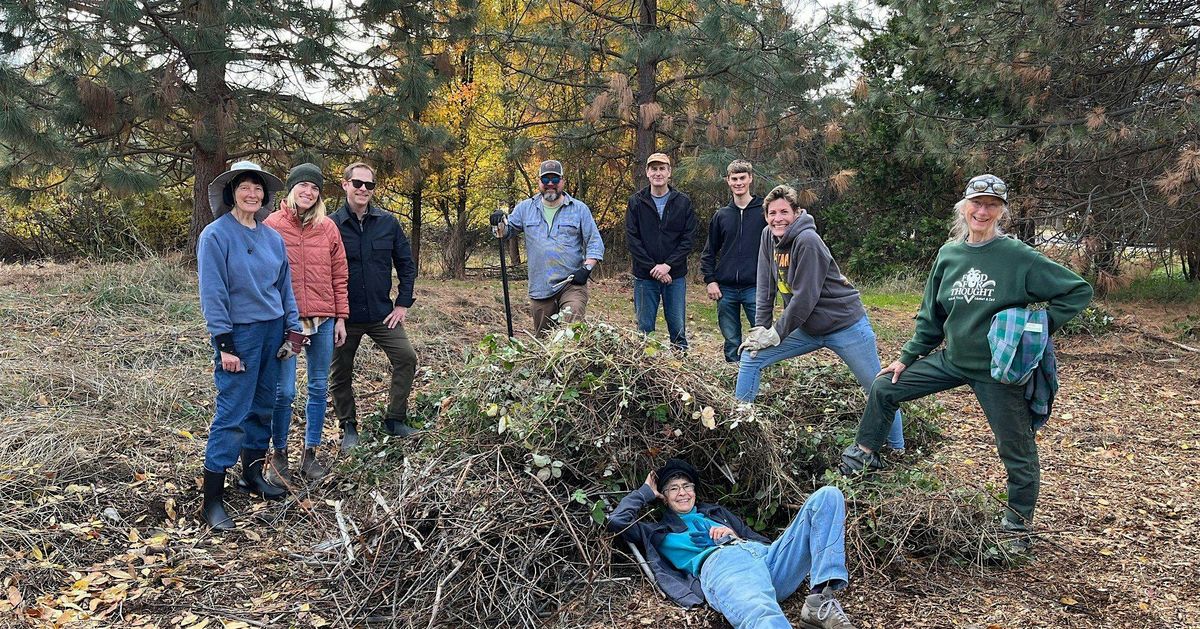 N. Mountain Park clean-up