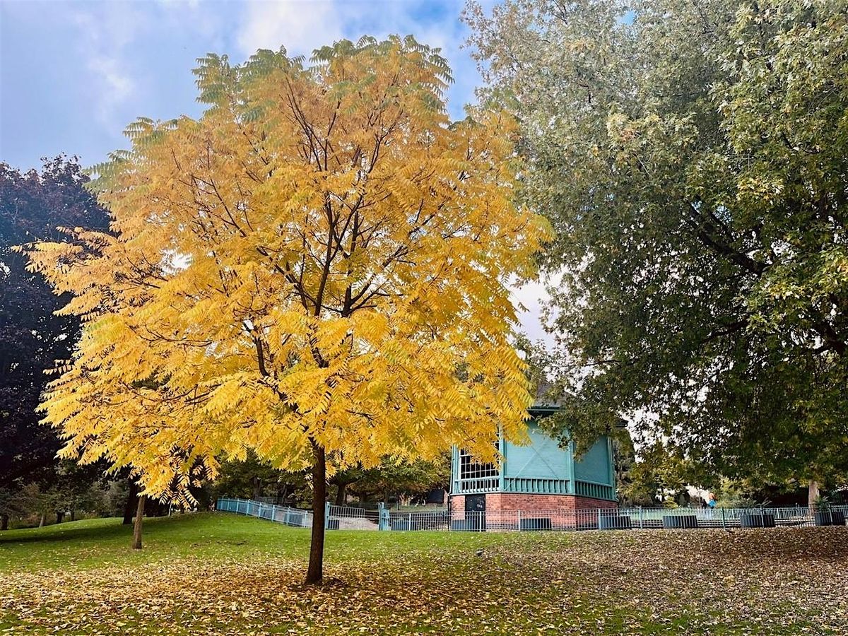 Wildlife Wellbeing Walk- Nottingham Arboretum