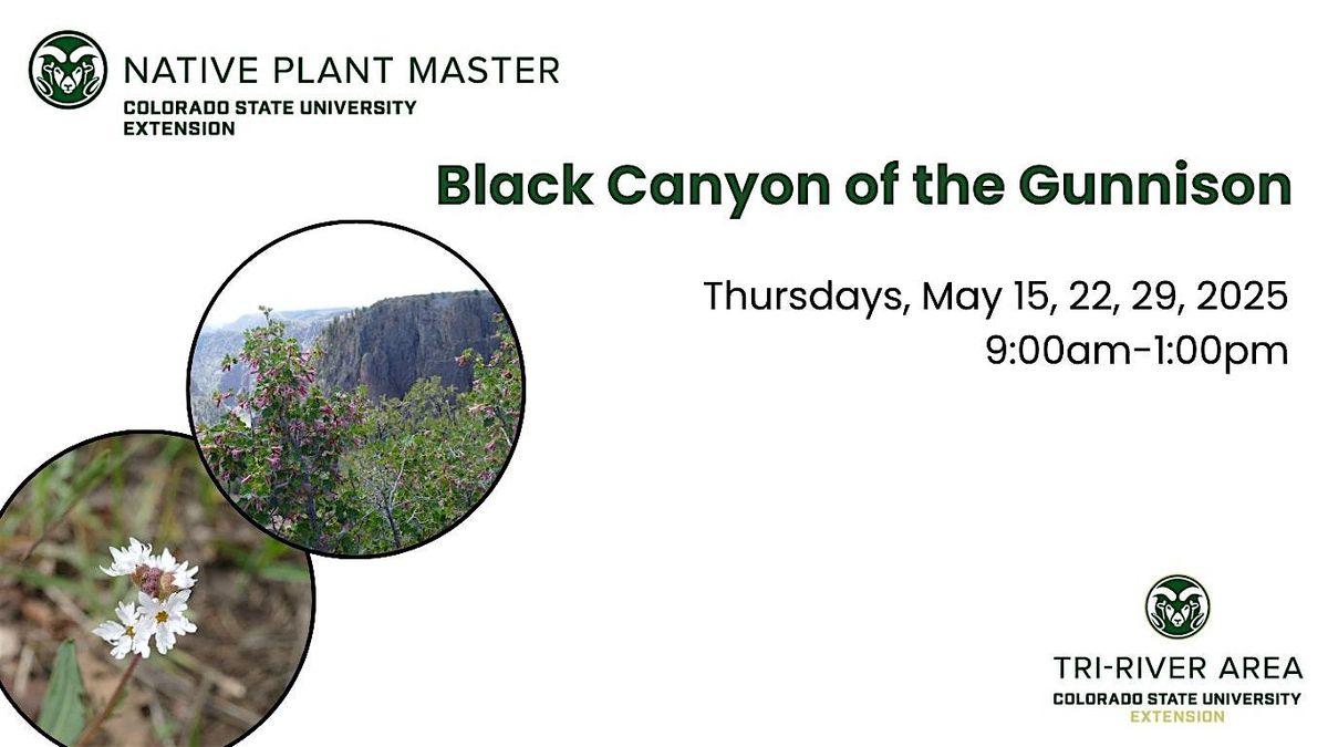 2025 Colorado Native Plant Master: Black Canyon of the Gunnison