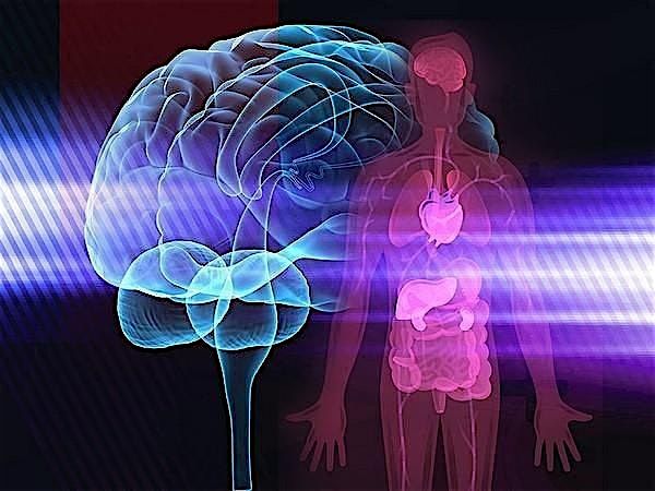 Mental Health Matters:  A Mind-Body Community Event