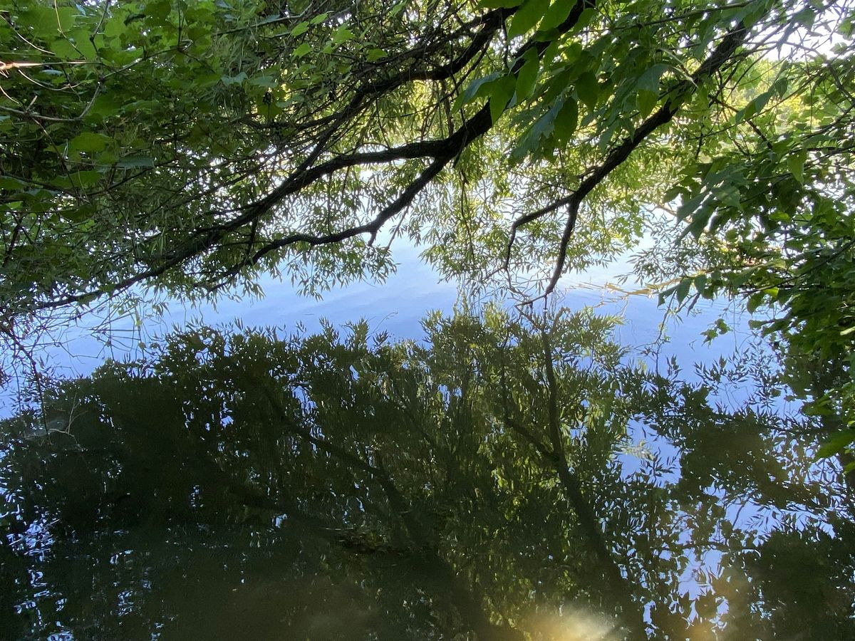 Contemplative Photography -Mer Bleue Bog