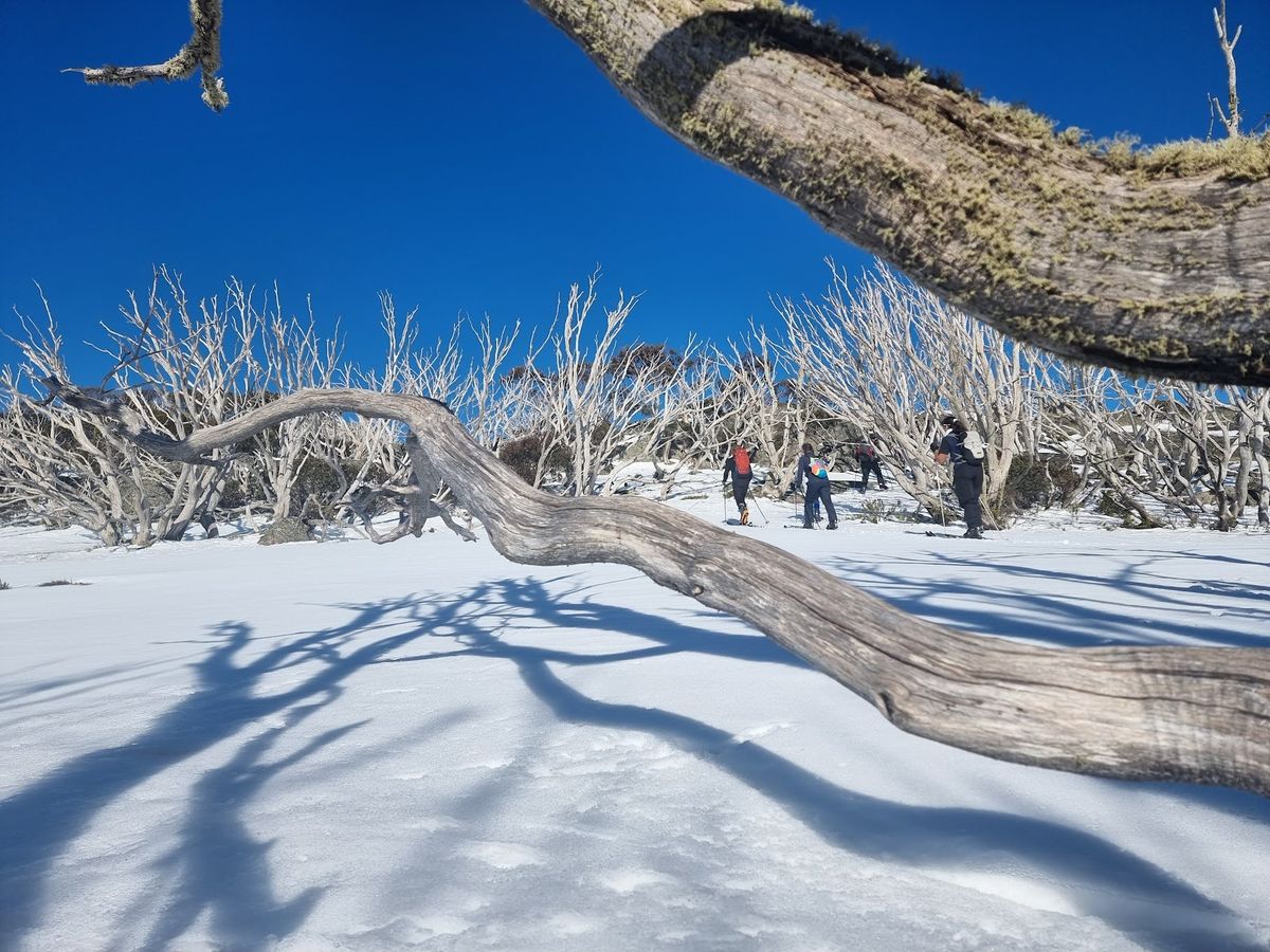 Celebrating 85 Years of the Bogong Rover Chalet.