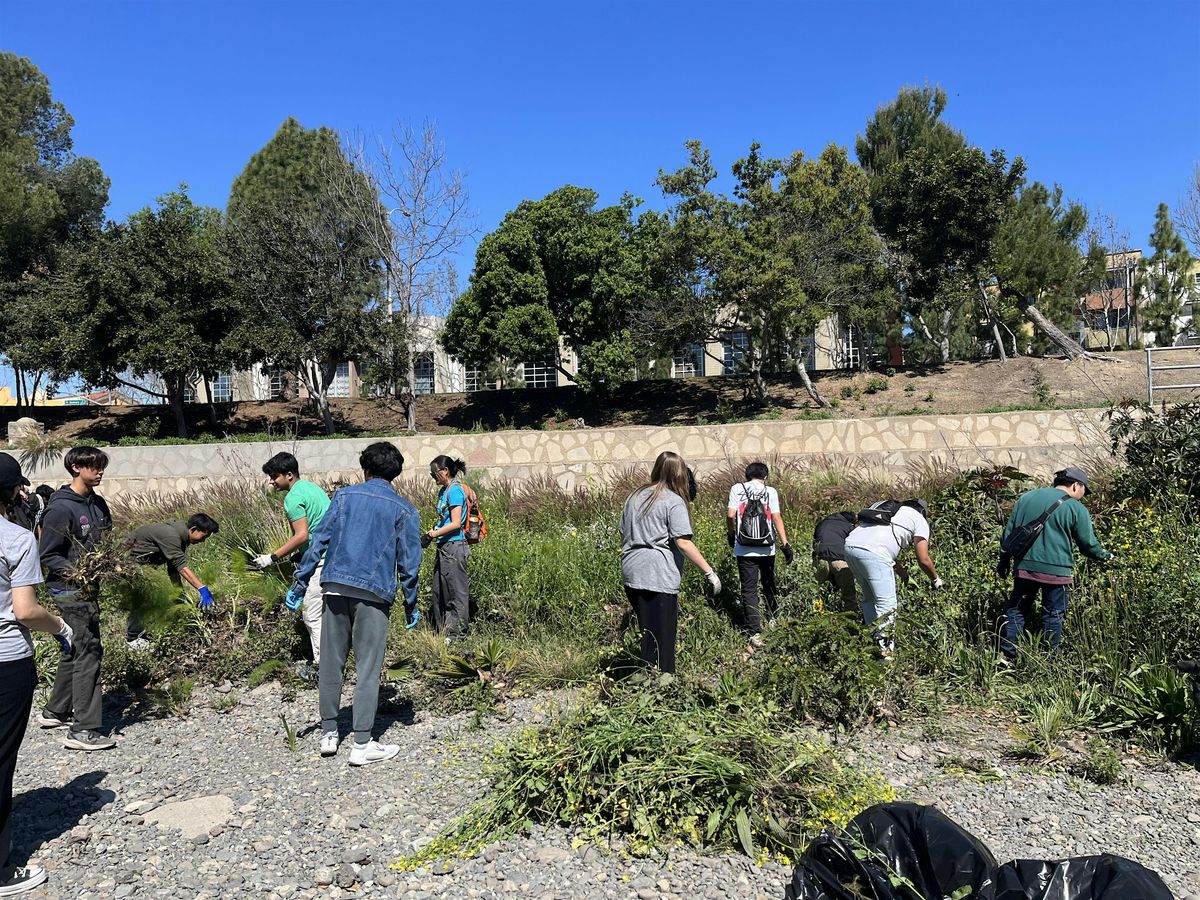 Santiago Park Clean-Up & Restoration