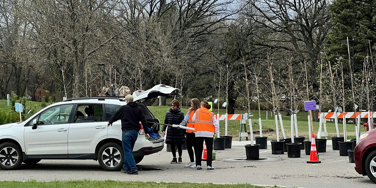 Edina Fall Tree Distribution