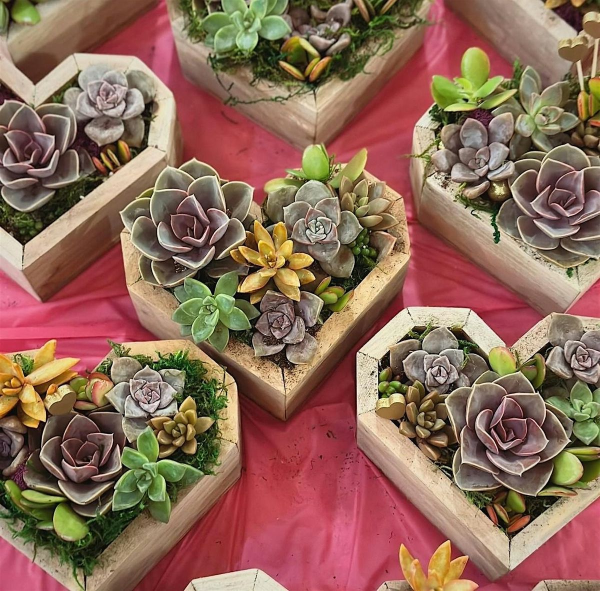 Valentine's\/Succulent's Wooden Heart Workshop