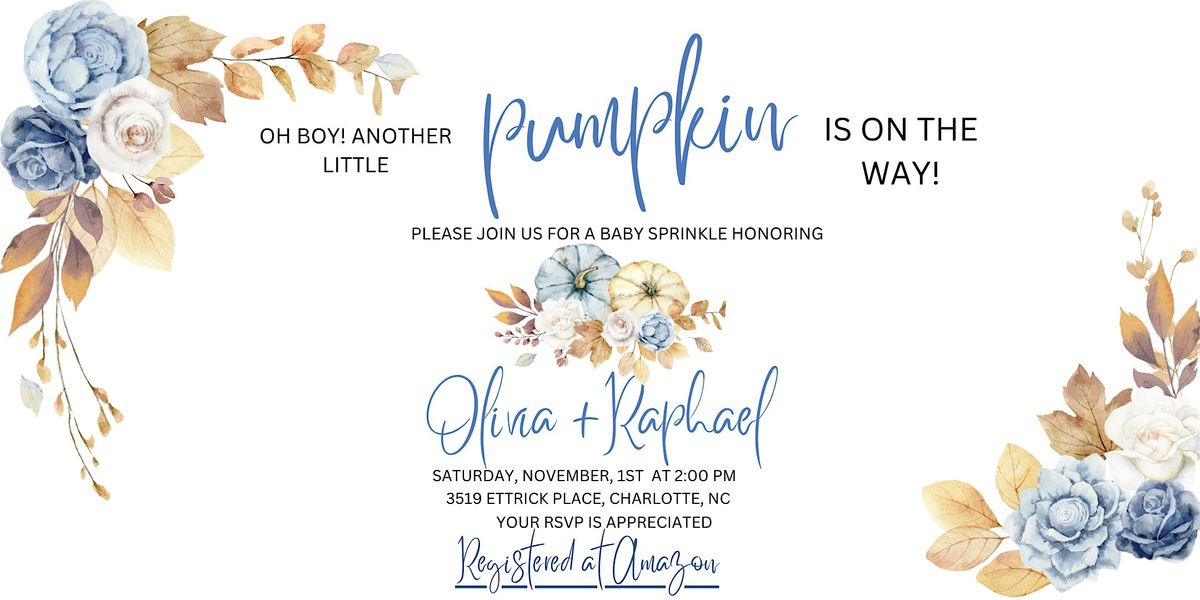 Olivia & Raphael\u2019s Baby Sprinkle