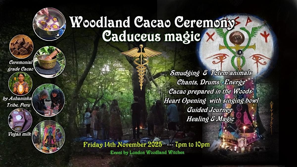 Woodland Cacao Ceremony -  Caduceus magic