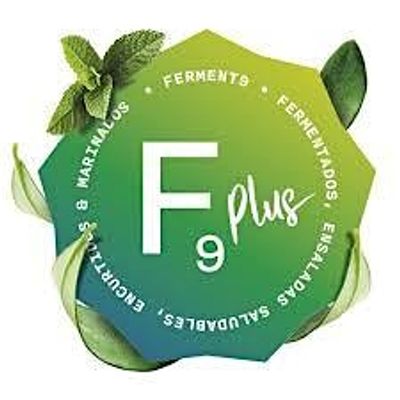 Ferment 9