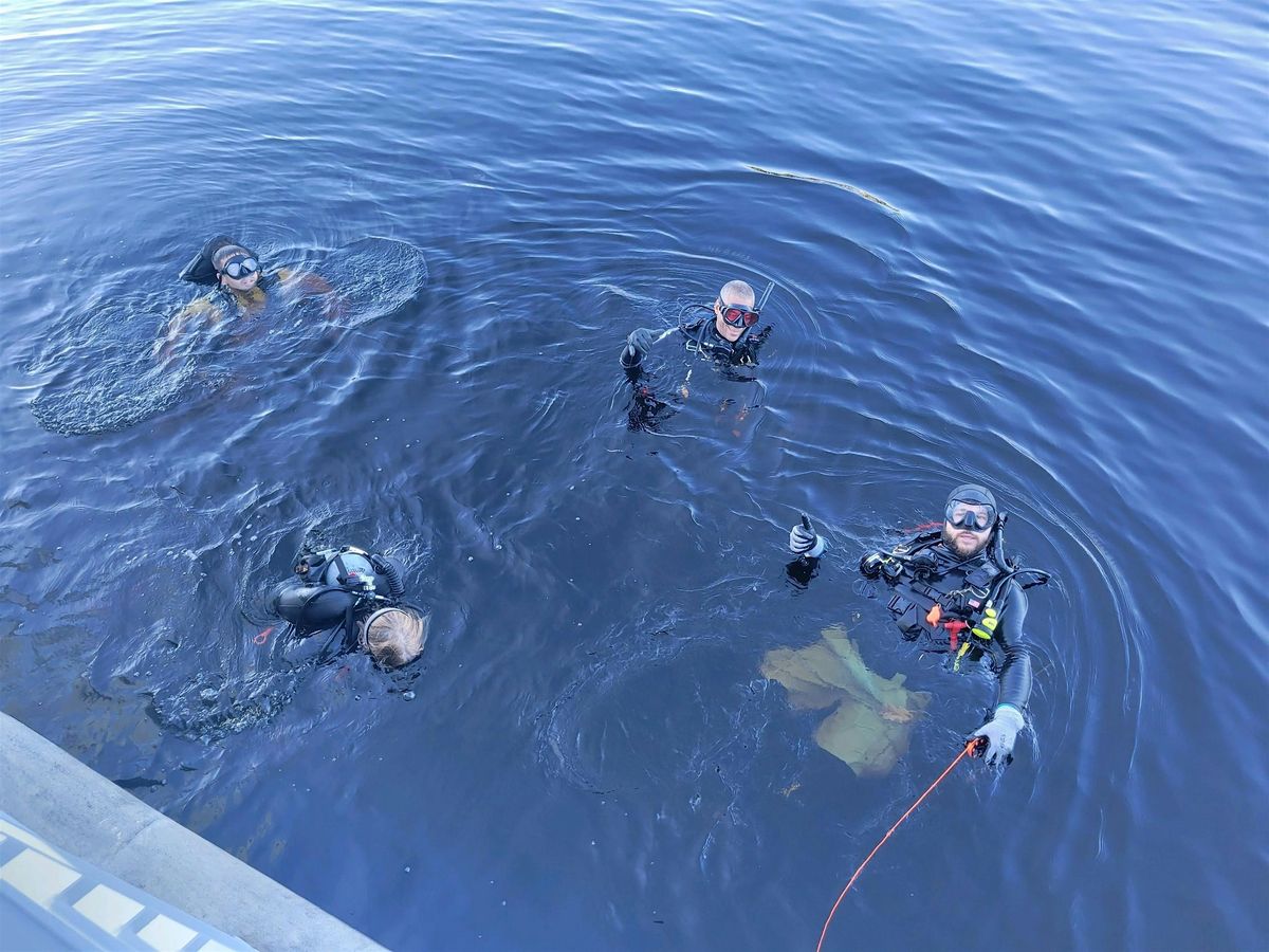 For the Manatees! Sulfur Spring Diver assistance cleanup
