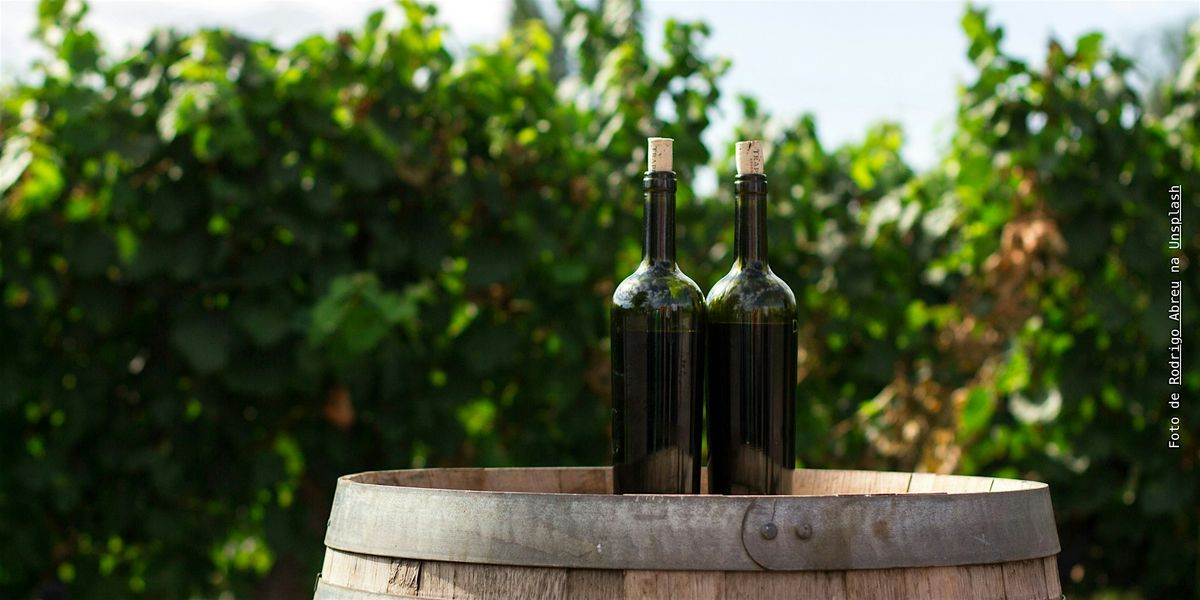 Degustando Brasil de Vinhos: Serra Fluminense