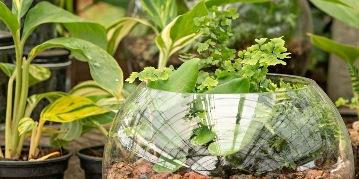 DIY Tropical Terrarium