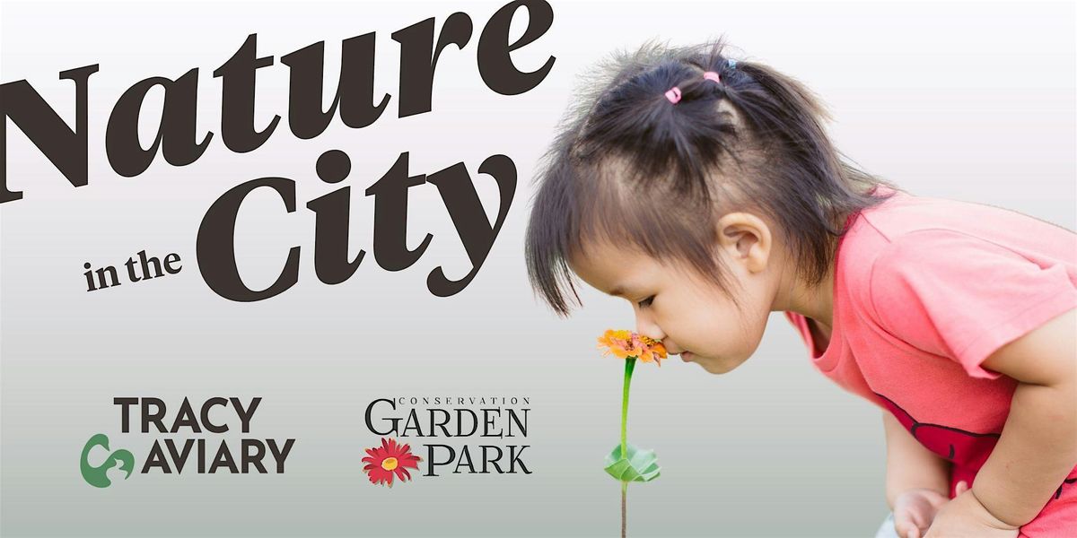 Nature in the City: Birding 101