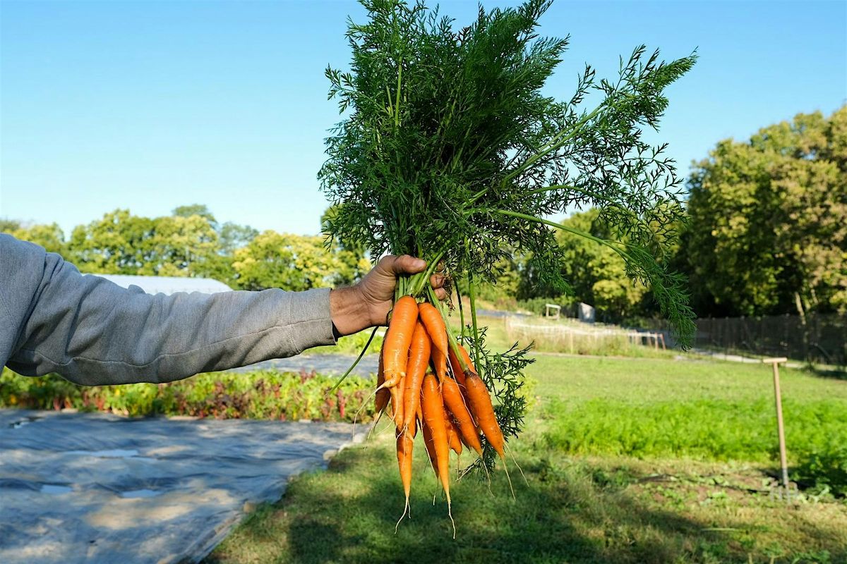 Introduction to Sustainable Home Food Production