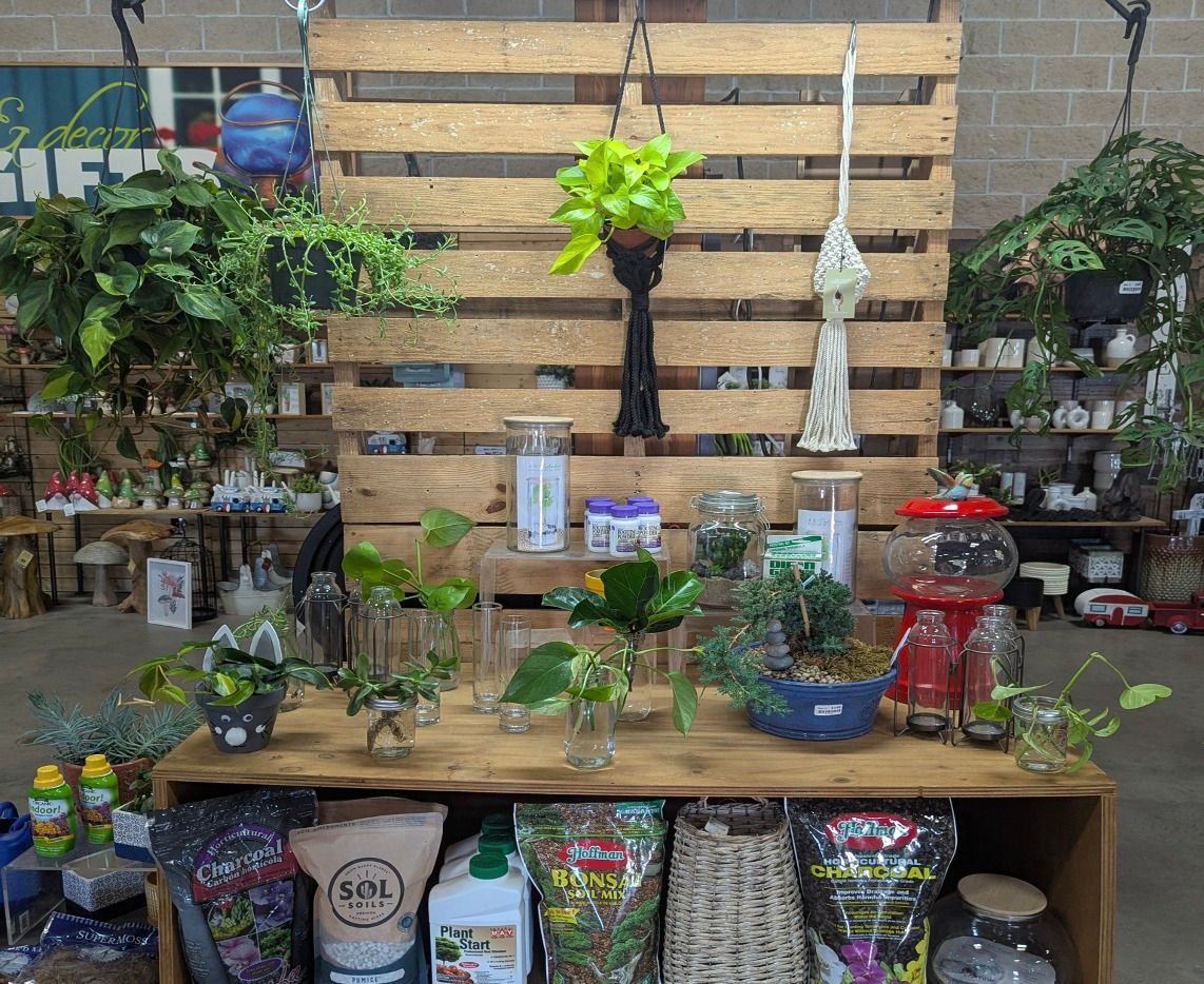 Sioux City, IA (West) - Houseplant Propagation Swap & Shop