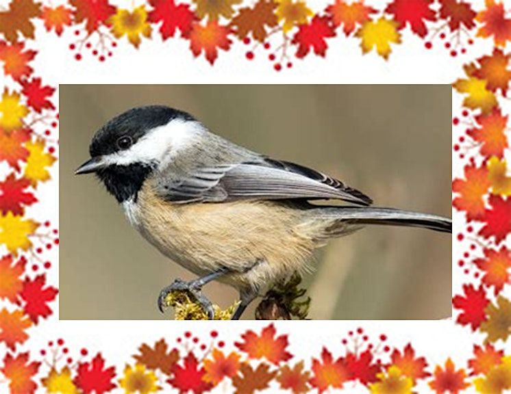 Chickadee Welcome Plaque | Cheryl Bielli, instructor