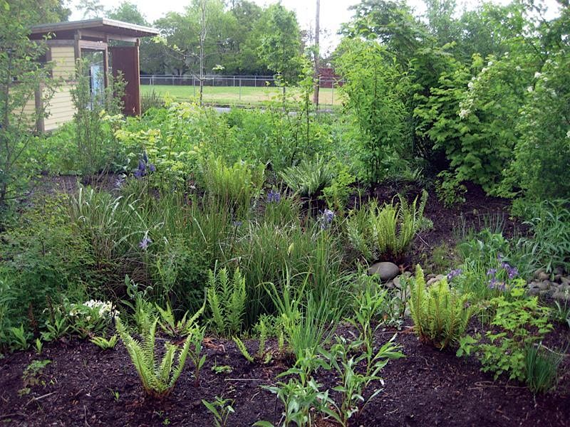Creating an Edible Landscape