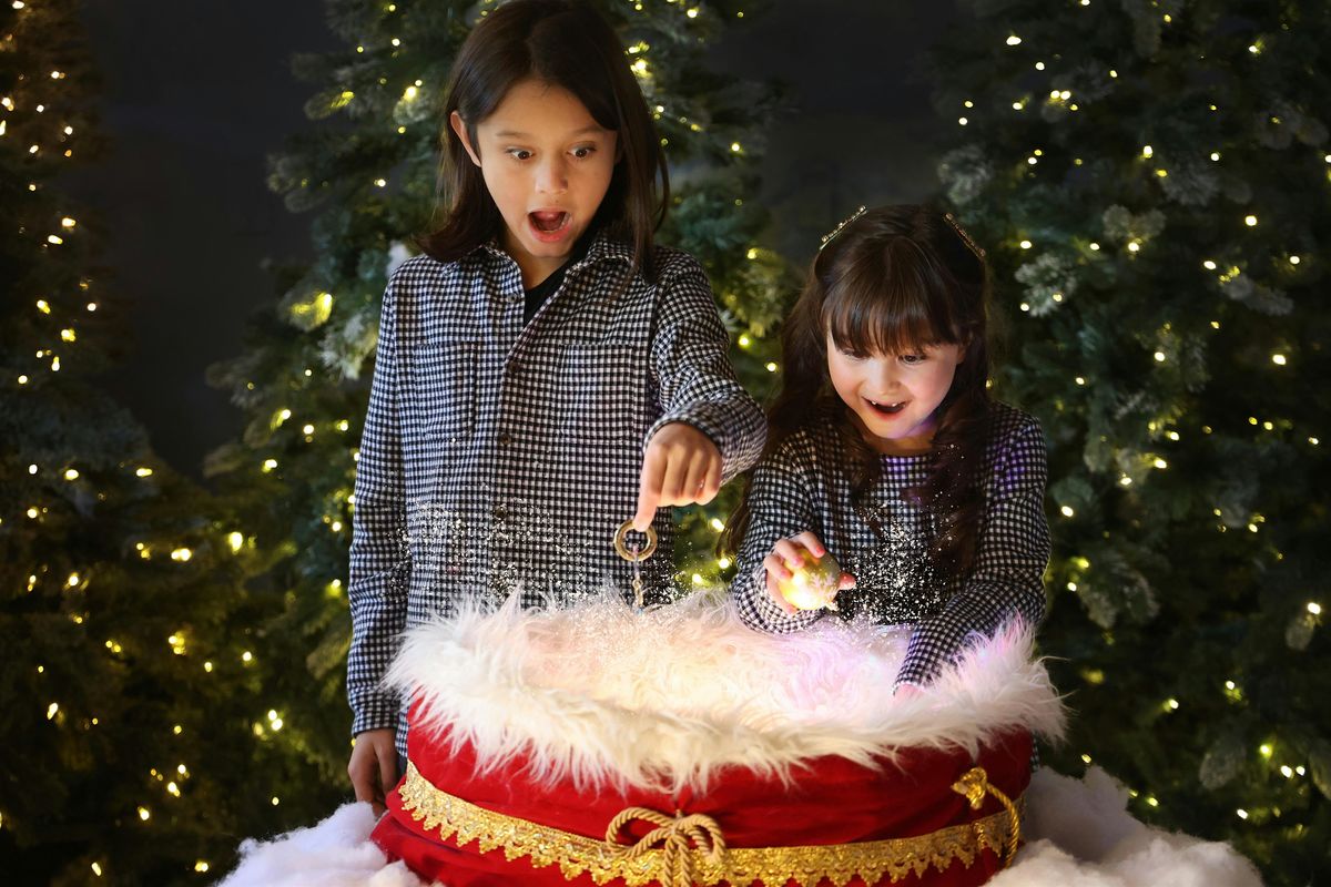Sustainable Santa Crafting, Drinks &  Family Portraits